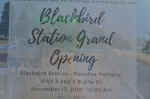 Blackbird_Station_Ceremony_111718_05.JPG (297130 bytes)