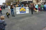 UI_Homecoming_102415_72_1024x682.jpg (398776 bytes)