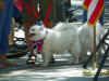 IndepDay2011_MuttStrut_05A.jpg (273923 bytes)