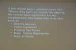 Jury_Peers_030817_07.JPG (158543 bytes)
