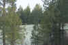 Elk_Potlatah_086A.jpg (248238 bytes)