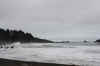 100210_HumBayCoosBay_06A.jpg (92917 bytes)